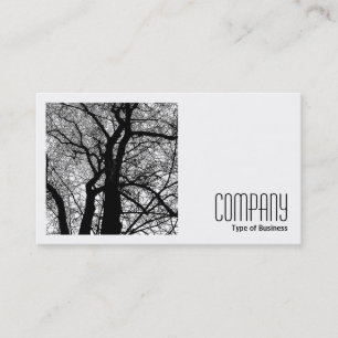 Cartão De Visita Foto quadrada (v2) - Árvore de alto contraste