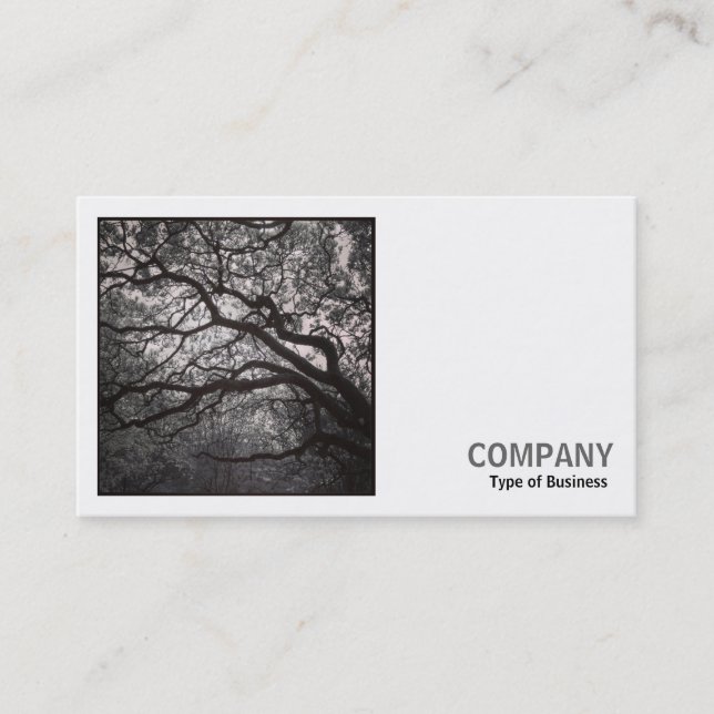 Cartão De Visita Foto Quadrada (v2) - Árvore Magnolia no Blossom 01 (Frente)