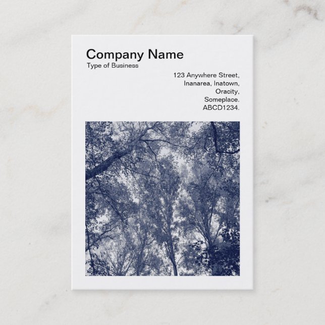 Cartão De Visita Foto quadrada (v3) - outono azul (Frente)