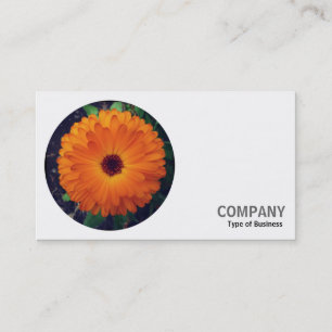 Cartão De Visita Foto redonda - Marigold inglês