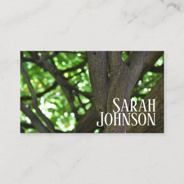 Cartão De Visita Fotografia da natureza verde Wisteria Pergola Tree (Frente)