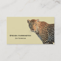 Fotografia de Gato Selvagem de Leopardo