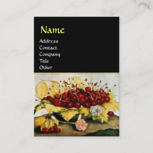 CARTÃO DE VISITA FRUTAS/CADEIRAS E CARNAÇÕES DA SEASON