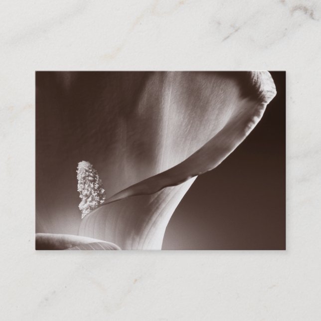 Cartão De Visita Fundo Preto de Flor Lily Branco (Frente)