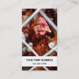 Cartão De Visita Galinha Fazenda do País