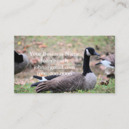 Cartão De Visita Ganso