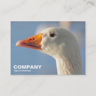 Cartão De Visita Ganso branco malhado