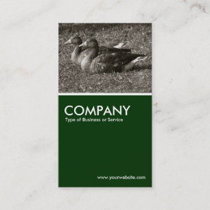 Cartão De Visita Gansos de Graylag (Sepia) - Verde Escuro