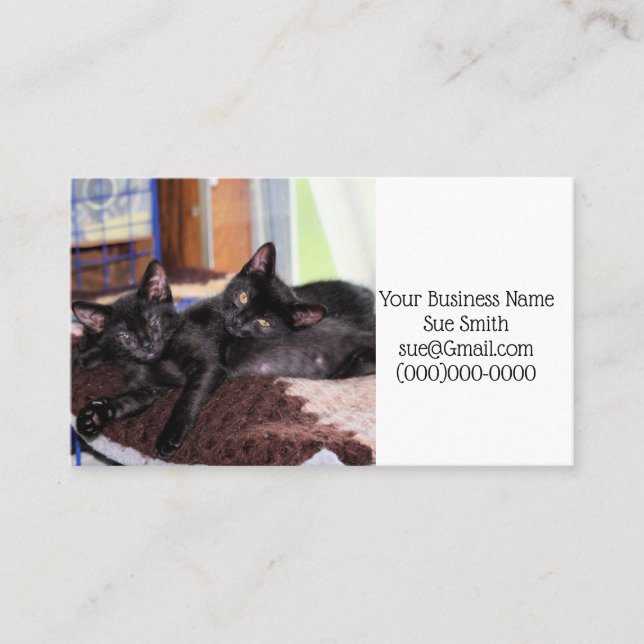 Cartão De Visita Gatinhos (Frente)