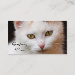 Cartão De Visita Gato branco