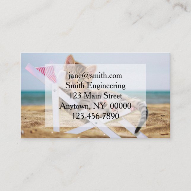 Cartão De Visita Gato descansando sobre um solitário (Frente)