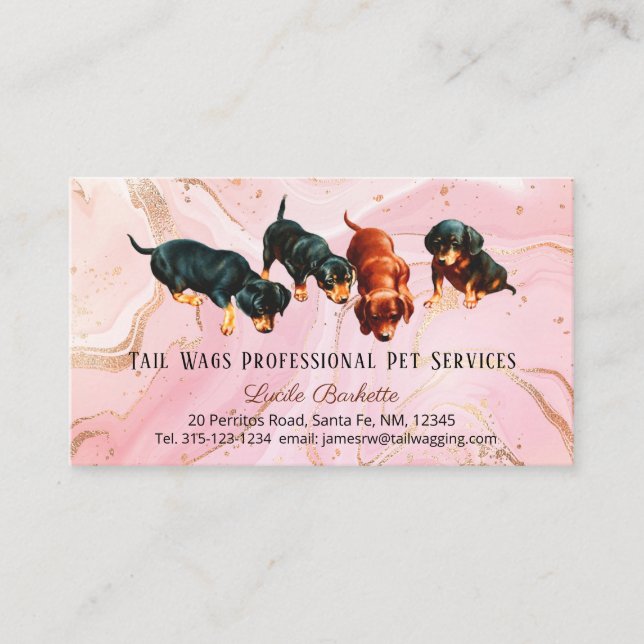 Cartão De Visita Gato Dourado rosa dos Pups de Dachshund (Frente)