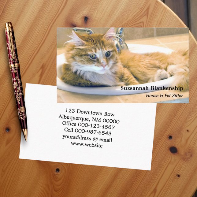Cartão De Visita Gato Engraçado Substituível em Fotografia com Diss (Business card template front and back)