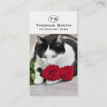 Gato fofo com a rosa vermelha