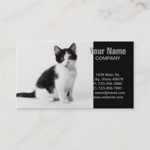 Cartão De Visita Gato preto e branco, doce Engraçado