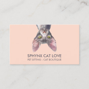 Cartão De Visita Gato Sphynx Rosa Laranja
