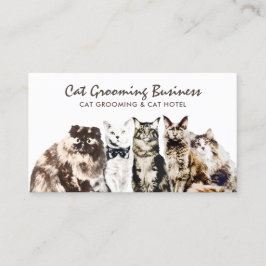Cartão De Visita Gatos Spa De Salão De Pet
