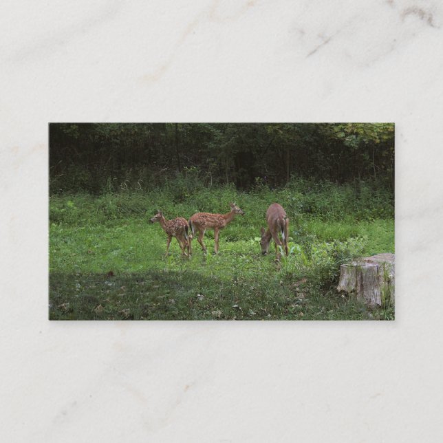 Cartão De Visita Gêmeos e seu Mama (Frente)