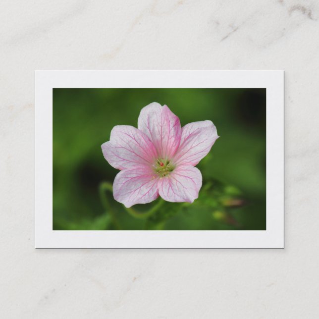 Cartão De Visita Gerânio (Bordado) (Frente)