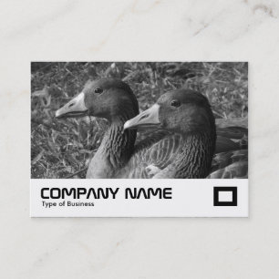 Cartão De Visita Greylag Geese B&W
