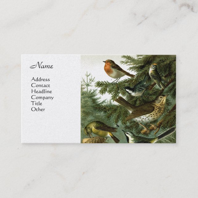 Cartão De Visita Grupo 3 do pássaro (Frente)