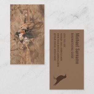 Cartão De Visita Guia de observação de aves pardais marrons Fotogra