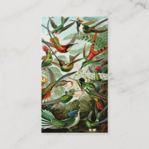 Cartão De Visita Haeckel