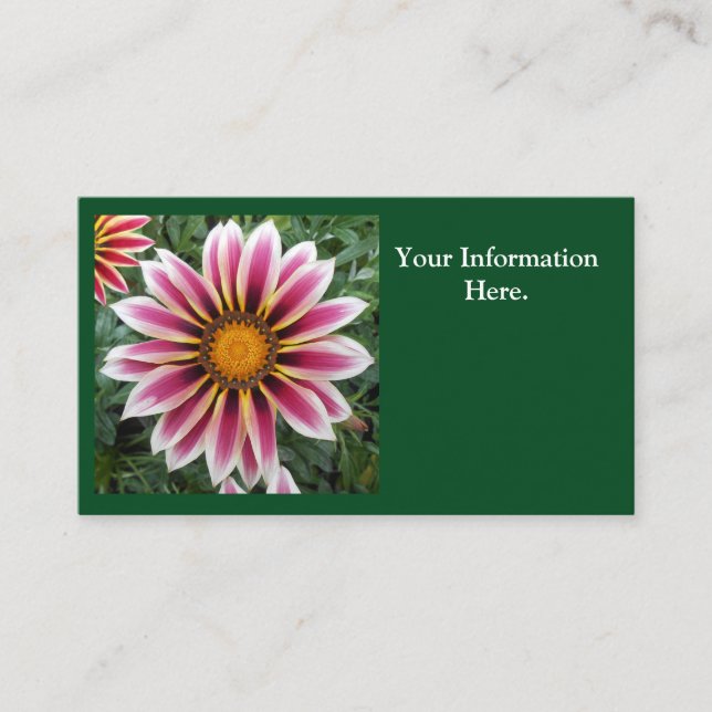 Cartão De Visita Hereford (Frente)