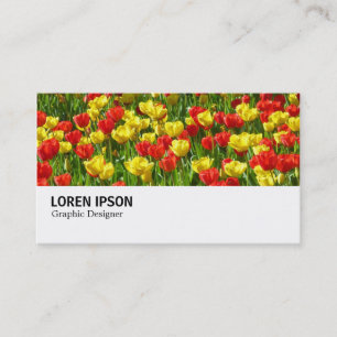 Cartão De Visita Hi-Phi - 0190 - Mar de Tulips III