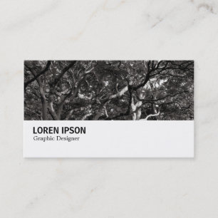 Cartão De Visita Hi-Phi - 0266 - Japoneses Branches 03