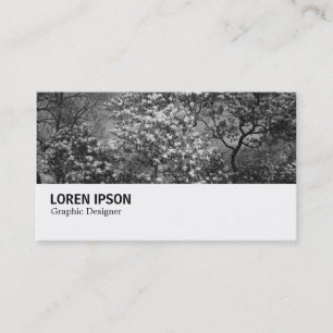 Cartão De Visita Hi-Phi - 0291 - Magnolia Tree in Blossom