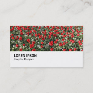 Cartão De Visita Hi-Phi - 0292 - Tulipas Vermelhas e Primroses