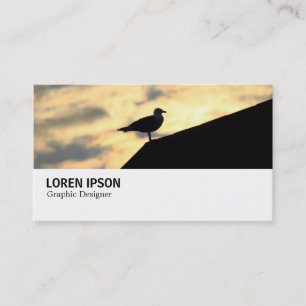 Cartão De Visita Hi-Phi - 0389 - Herring Gull Sunset