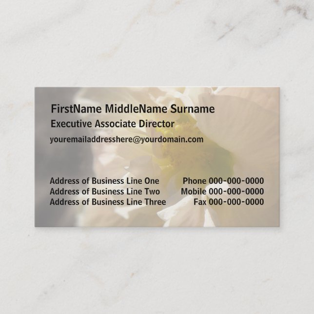 Cartão De Visita Hibiscus Pink em Sepia (Frente)