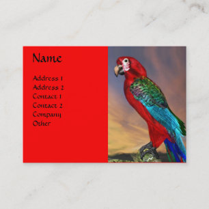 CARTÃO DE VISITA HIPER PARROS/ARA VERMELHA