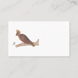 CARTÃO DE VISITA HOATZIN