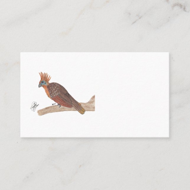 CARTÃO DE VISITA HOATZIN (Frente)