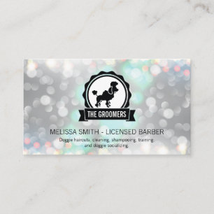 Cartão De Visita Horário de Cuidados de Animais  Limpador  Barco