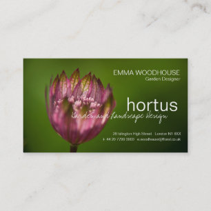 Cartão De Visita Hortus - Excelente Masterwort
