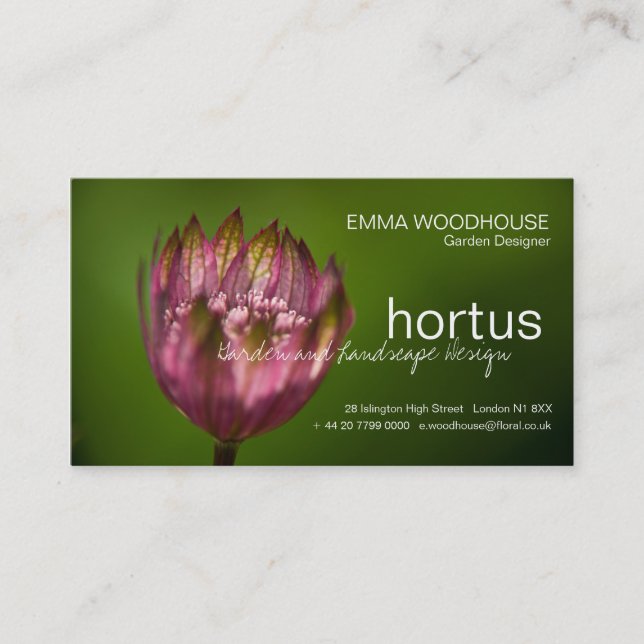Cartão De Visita Hortus - Excelente Masterwort (Frente)