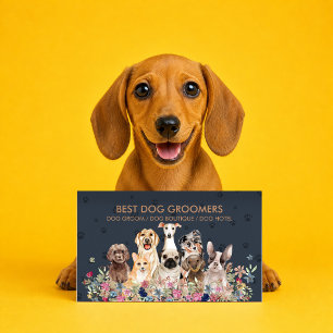 Cartão De Visita Hotelaria de Luxo para Cães