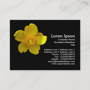 Cartão De Visita Hypericum Hidcote (Erva de São João)