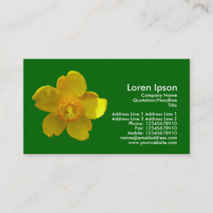 Cartão De Visita Hypericum Hidcote - Verde Grass