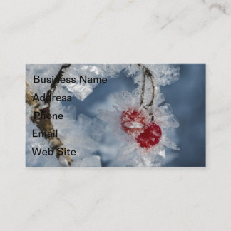 Cartão De Visita Ice Berries