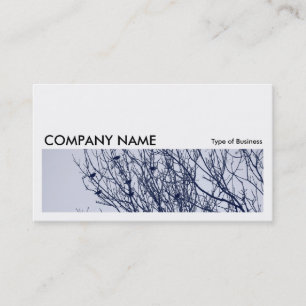 Cartão De Visita Imagem longa 0260 - Intornos numa árvore