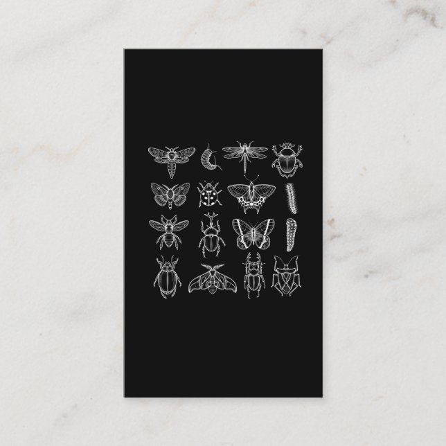 Cartão De Visita Insetos Entomologista Entomologista Inseto Catcher (Frente)