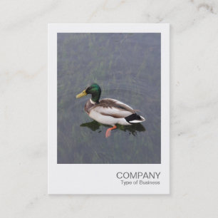 Cartão De Visita Instant Photo 012 - Mallard Duck