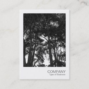 Cartão De Visita Instant Photo 032 - Tree Canopy (Foto instantânea