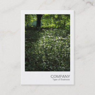 Cartão De Visita Instant Photo 042 - Primavera na floresta