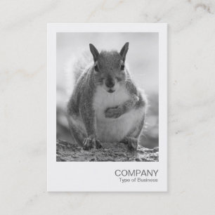 Cartão De Visita Instant Photo 045 - Cinza Squirrel BW
